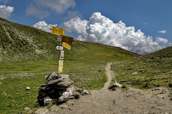 Dans la nature sauvage du Haut-Valais