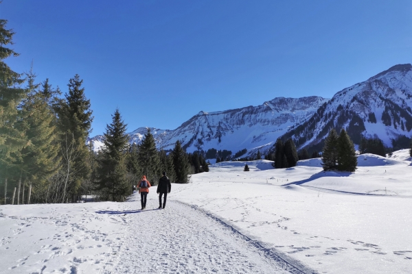 Par les marais de l’Entlebuch