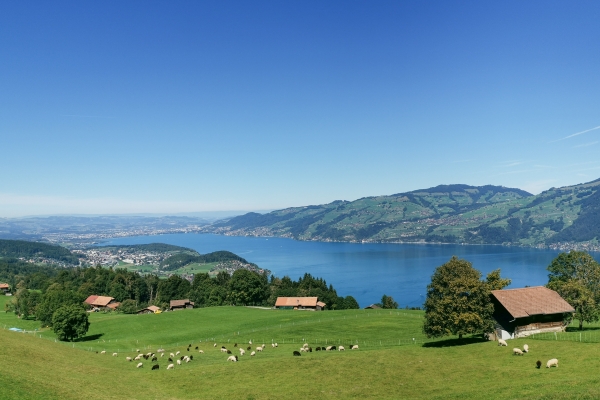 Pittoresca escursione sopra il lago di Thun