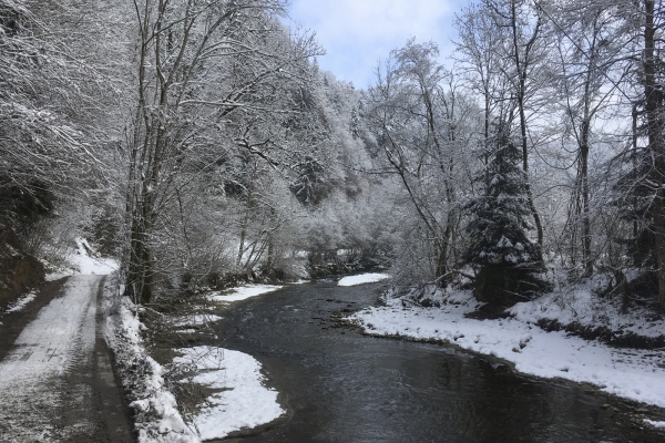 Winterlicher Schwarzwassergraben