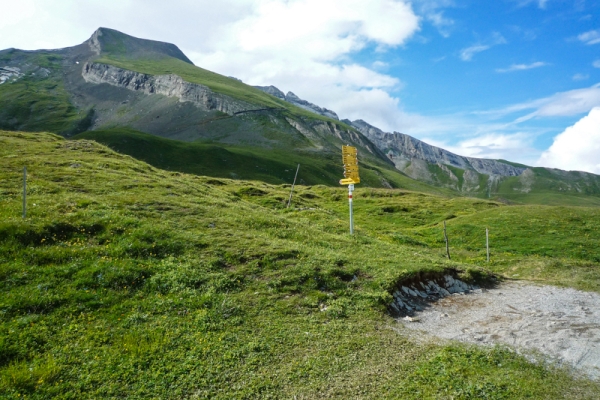 Les loups du Calanda