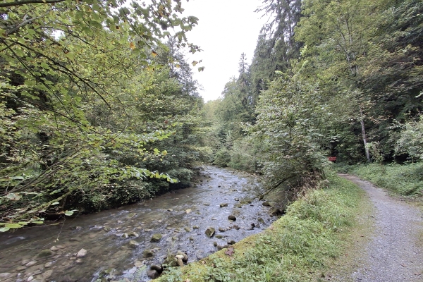 Halbtageswanderung von Uznach über den Goldberg nach Schmerikon