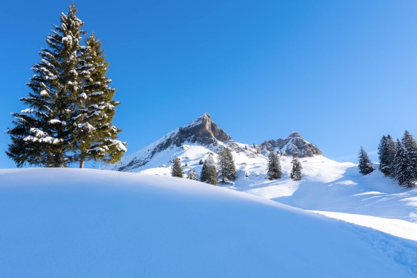 Hospitalité hivernale à Hoch Ybrig