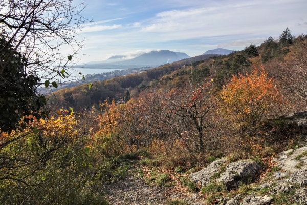 Rund um die Stadt Neuenburg