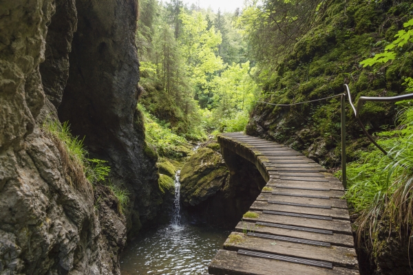 Les fées vertes du val de Travers