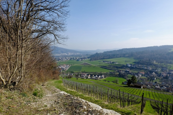 Le paysage varié du parc du Jura argovien