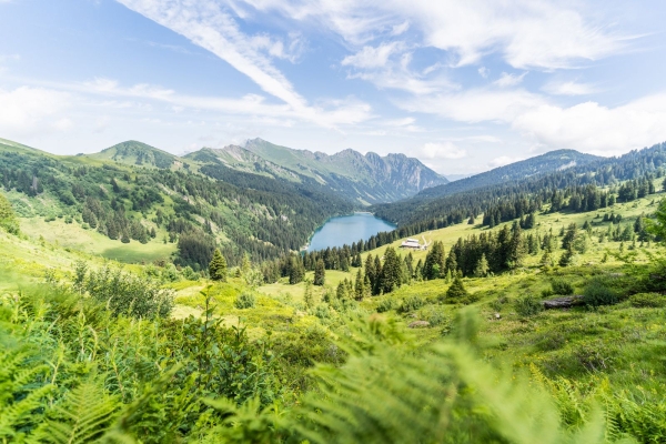 Wanderung vom Col du Pillon an den Arnensee