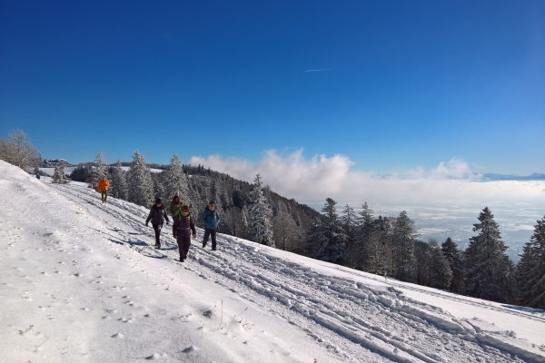 Alpenpanorama über dem Nebelmeer