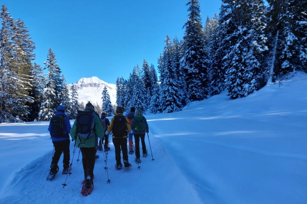 Schneeschuhwanderung Vollmond