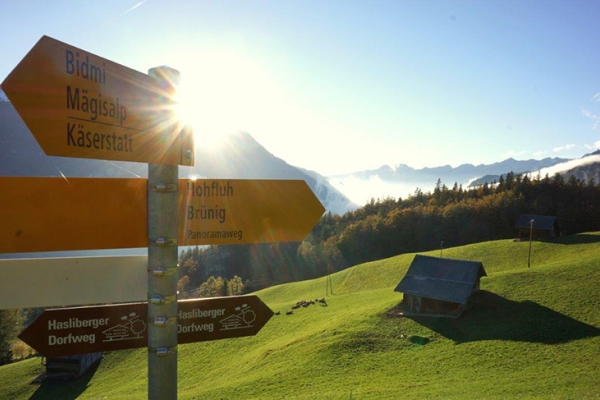 Dem Brünig entgegen 4