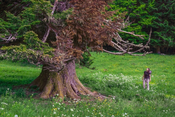 Die Trockenmauern des Mont Tendre