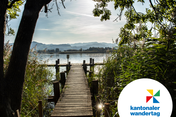 Kantonaler Wandertag: Vier Wanderungen nach Pfäffikon ZH.