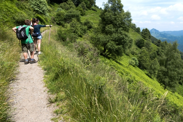 Vue panoramique dans le Mendrisiotto