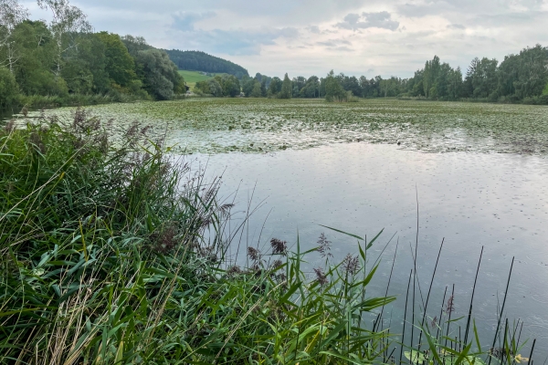 Historische Spuren und viel Natur bei Jonschwil