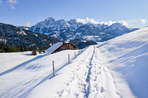 Ruhige Tour oberhalb von Rougemont