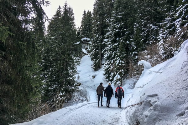 Unter dem majestätischen Zervreilahorn