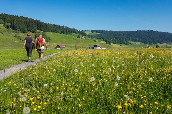 Dalla torbiera alta all’abbazia di Einsiedeln