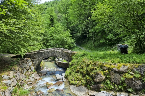 Parcours printanier au-dessus du lac de Walenstadt