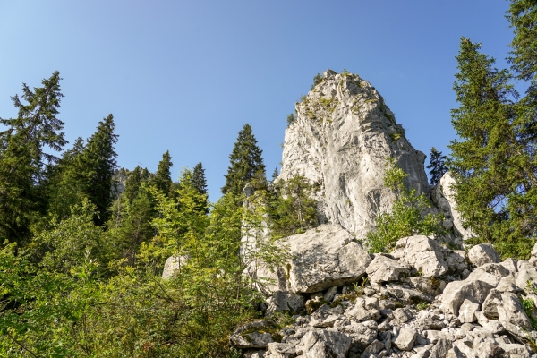 Vers les klippes de l’Ibergeregg 