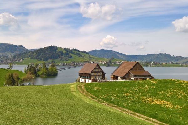 Pascoli fra il lago di Sihl e il lago di Zurigo