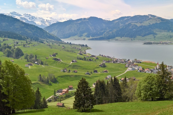 Alpweiden zwischen Sihlsee und Zürichsee