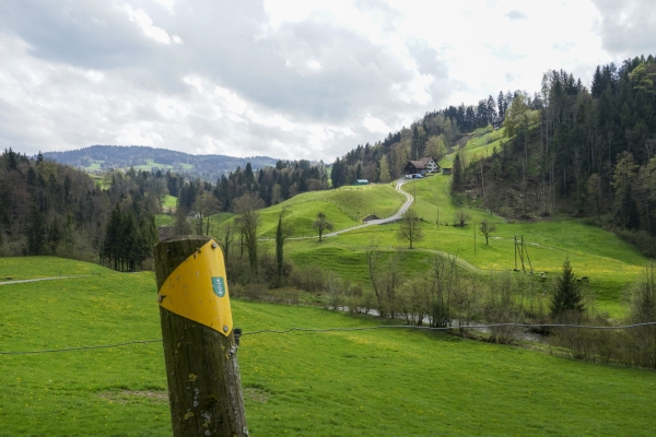 A travers des gorges sauvages en Suisse orientale