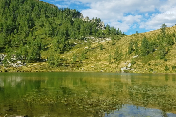 Una notte in rifugio Arena