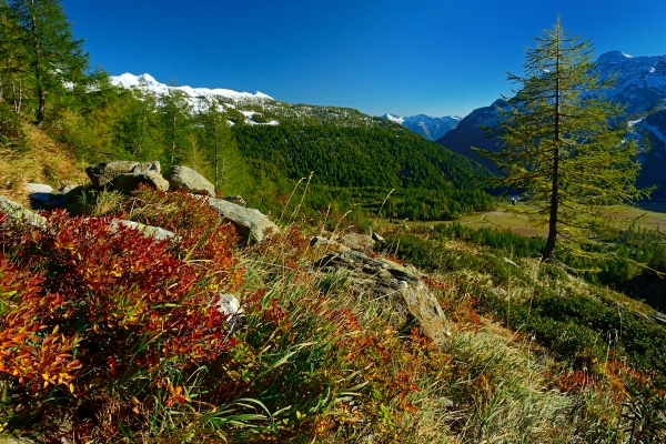 Au pied de l’Ofenhorn 