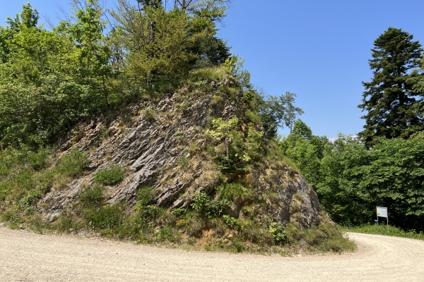 Geologische Wanderung Bärschwil (SO / BL)