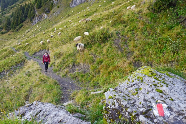 Am Fuss der Dents du Midi