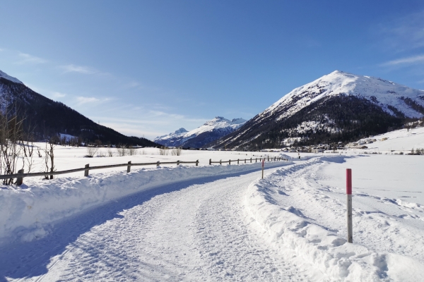 Un coin de tranquillité en Haute-Engadine