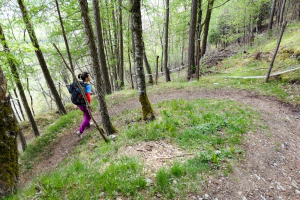 Floraison dans la vallée de Tourtemagne