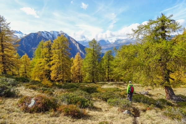 Le Schaplersee, dans le Parc naturel de la Vallée de Binn