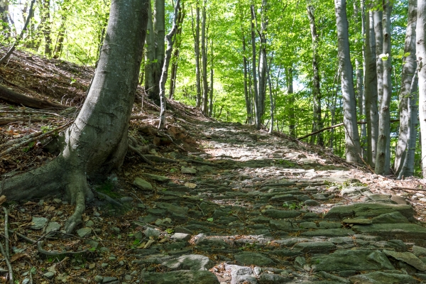 Im Tal des Vedeggio nach Tesserete