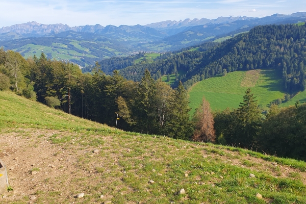 Alpwanderung im Mittleren Toggenburg