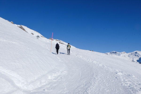 En hiver sur les traces du dahu