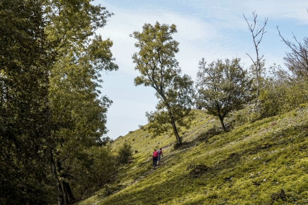 Sur la Gisliflue dans le Parc du Jura argovien