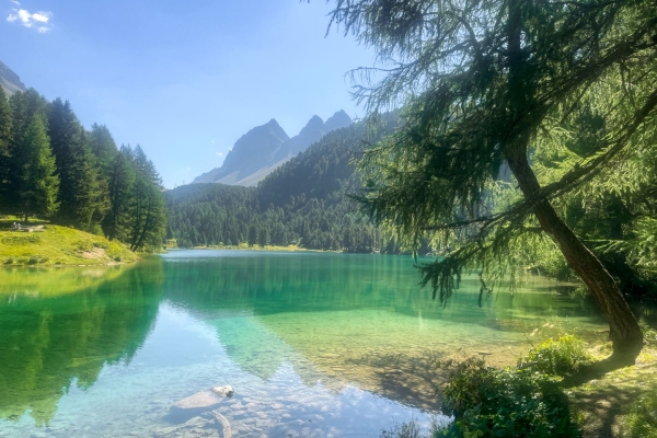 Eaux sauvages sur la Via Albula