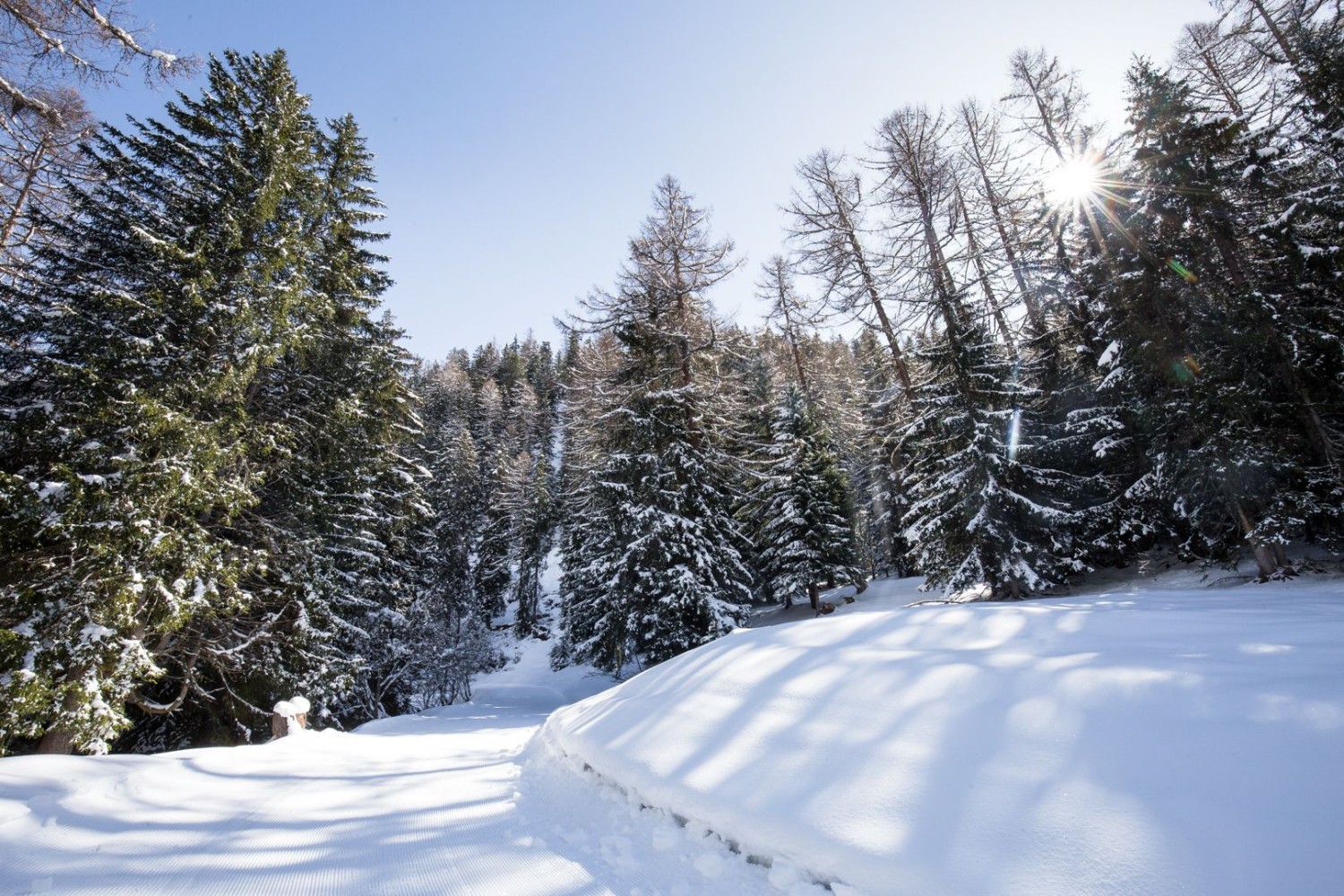 Auf einem märchenhaften Winterwanderweg geht es dem Majingsee entgegen.