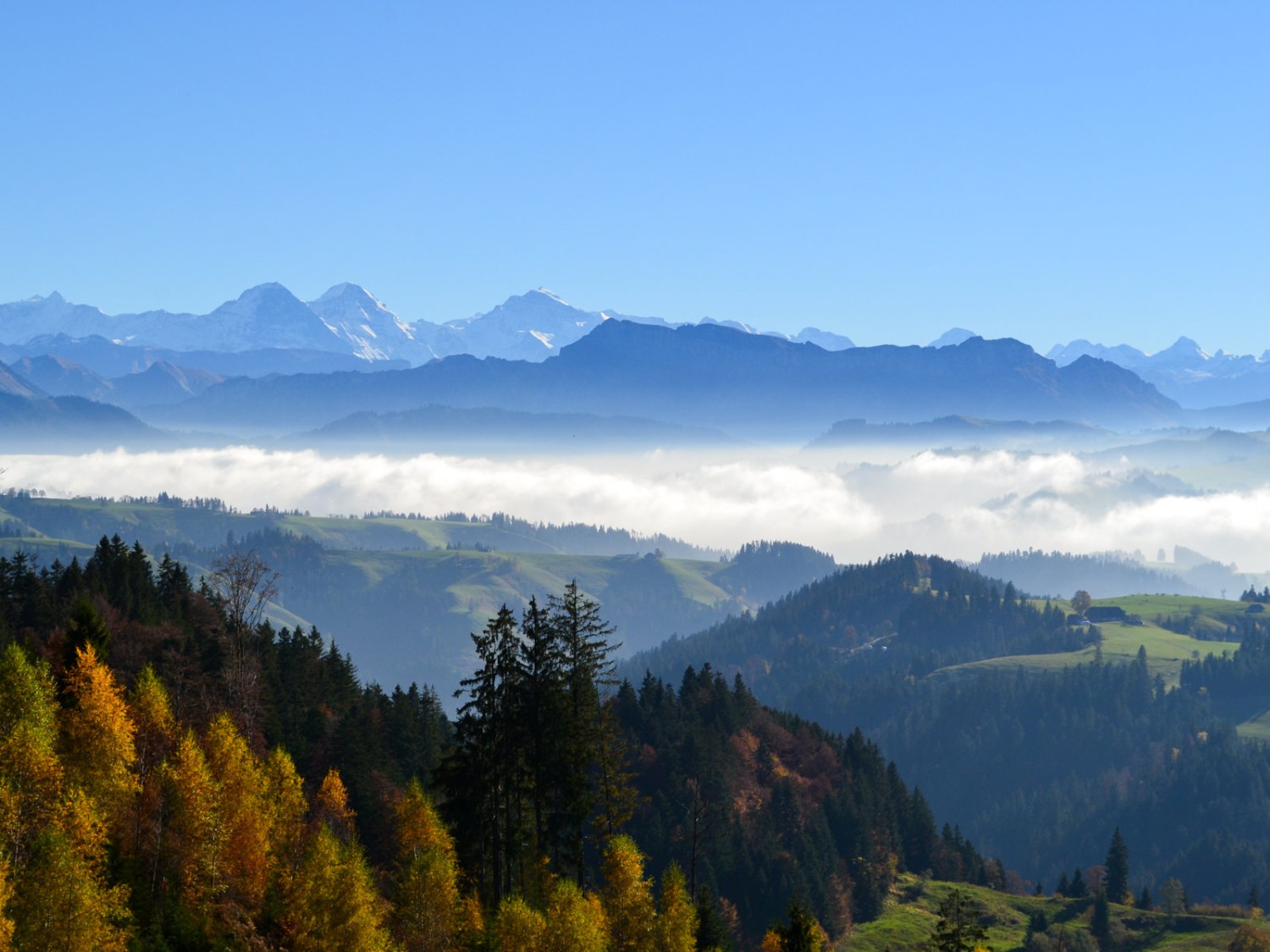 Eiger, Mönch und Jungfrau über Dunst und Nebel. Bild: Sabine Joss