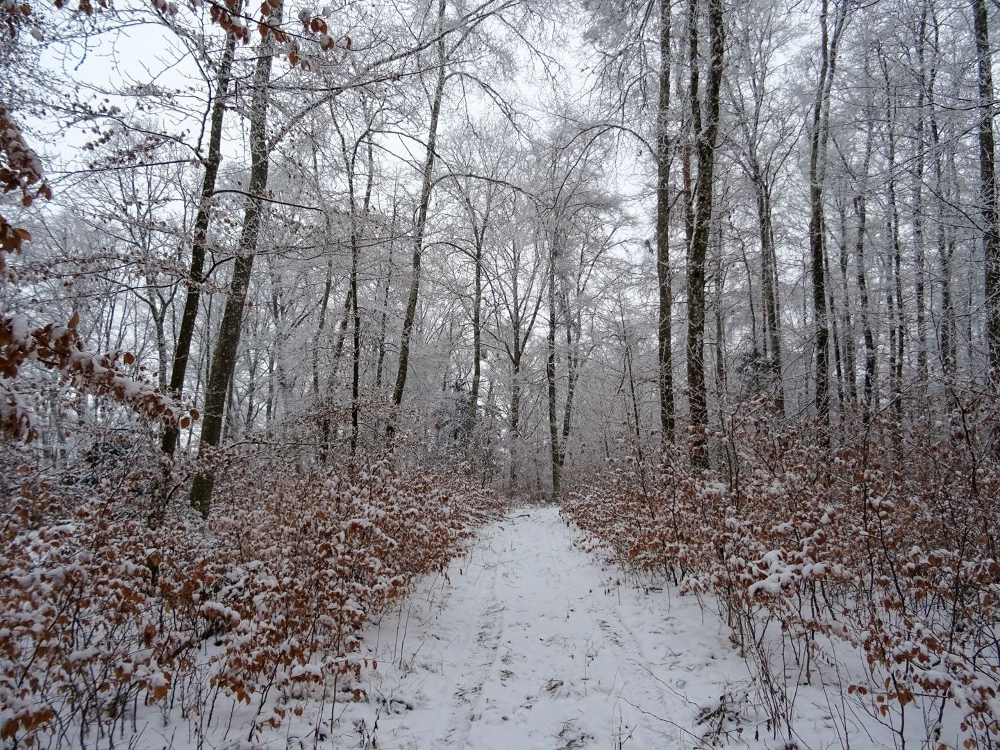 Oberhalb von Opfertshofen.