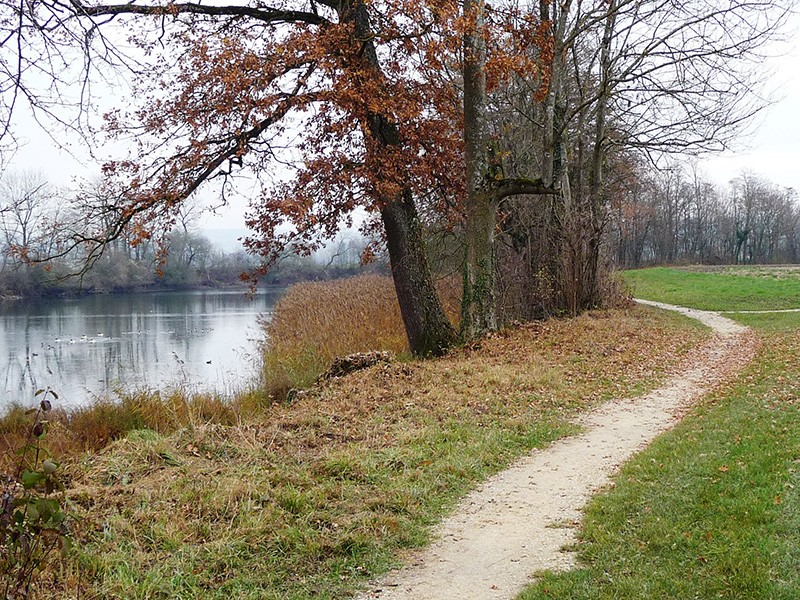 Paysage de rivière dans une zone de protection de la nature.  Photo: Hans Schüpbach, PBC
