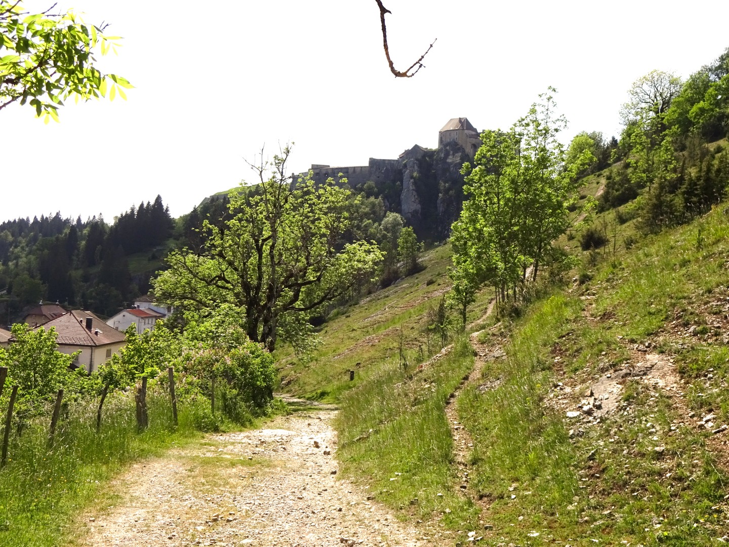 Gardien de la cluse vers Pontarlier, le château de Joux trône sur son éperon rocheux. Photo: Miroslaw Halaba