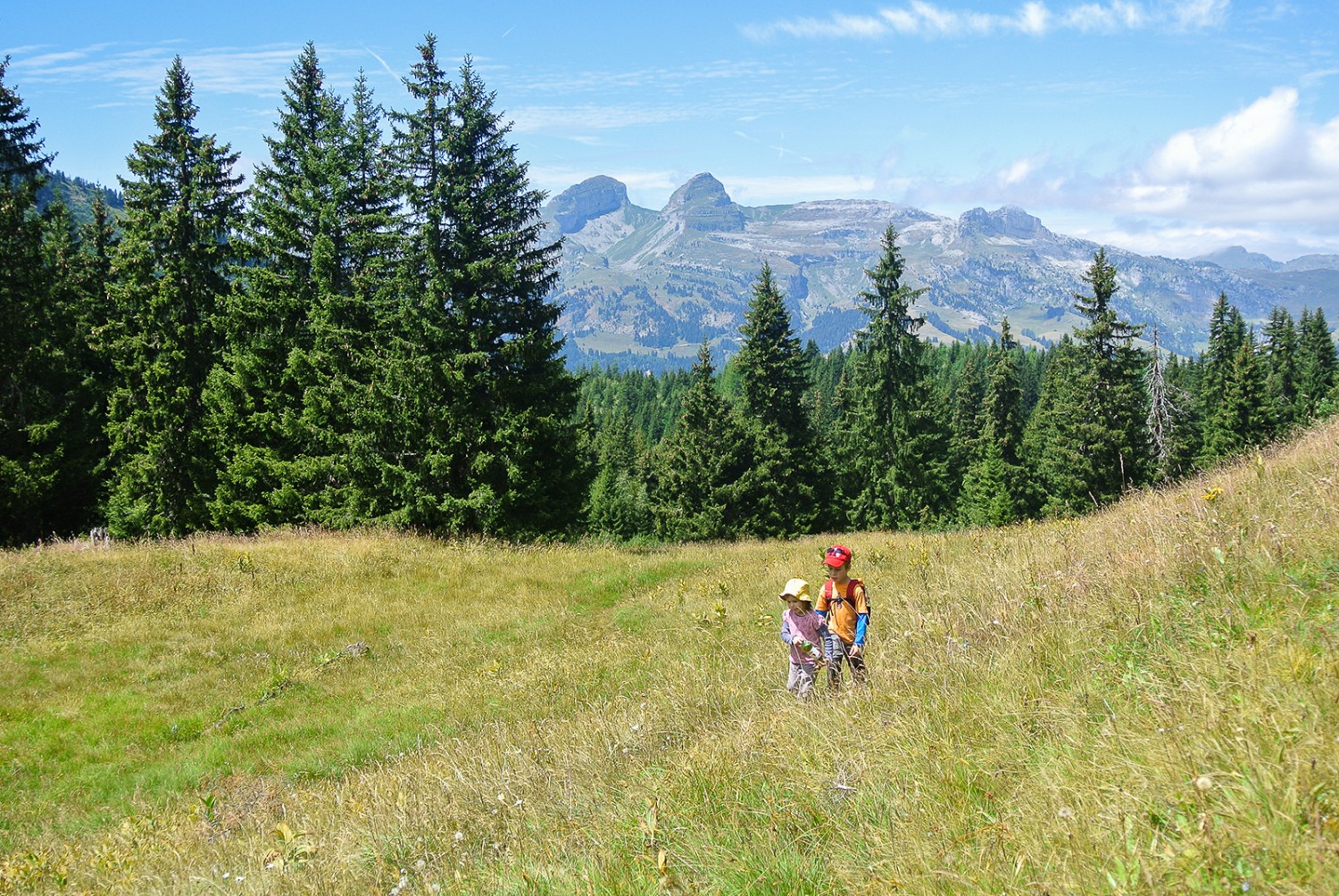 Nach dem Aufstieg vom Lac des Chavonnes wird es flacher. Bild: Rémy Kappeler