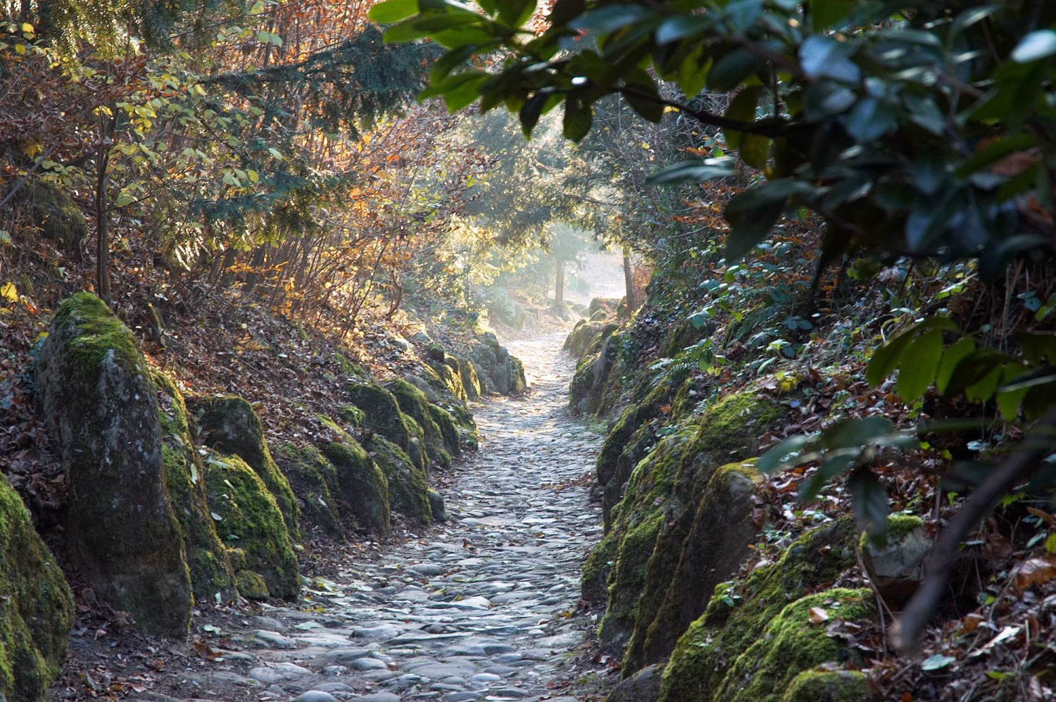 L’itinéraire passe par le célèbre Chemin creux. Photo: HohlgassLand Tourismus