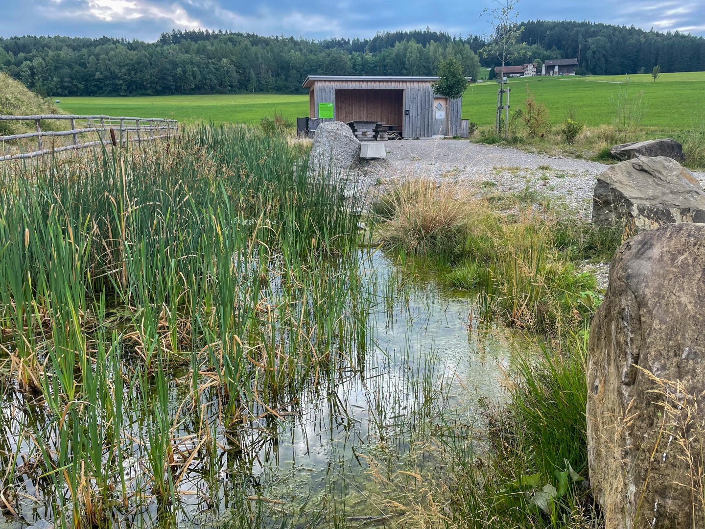 Histoire et profusion de nature à Jonschwil