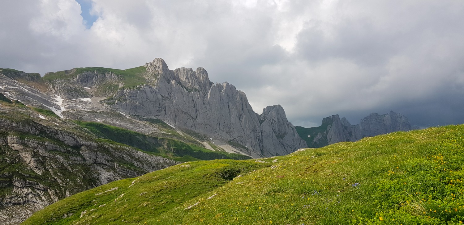 Die Landschaft auf dem Mutschensattel ist typisch für das Mittelgebirge: grün und steinig zugleich.