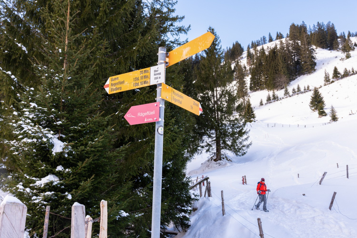 Die Route ist gut markiert mit den pinken Schneeschuh-Wegweisern. Bild: Franz Ulrich