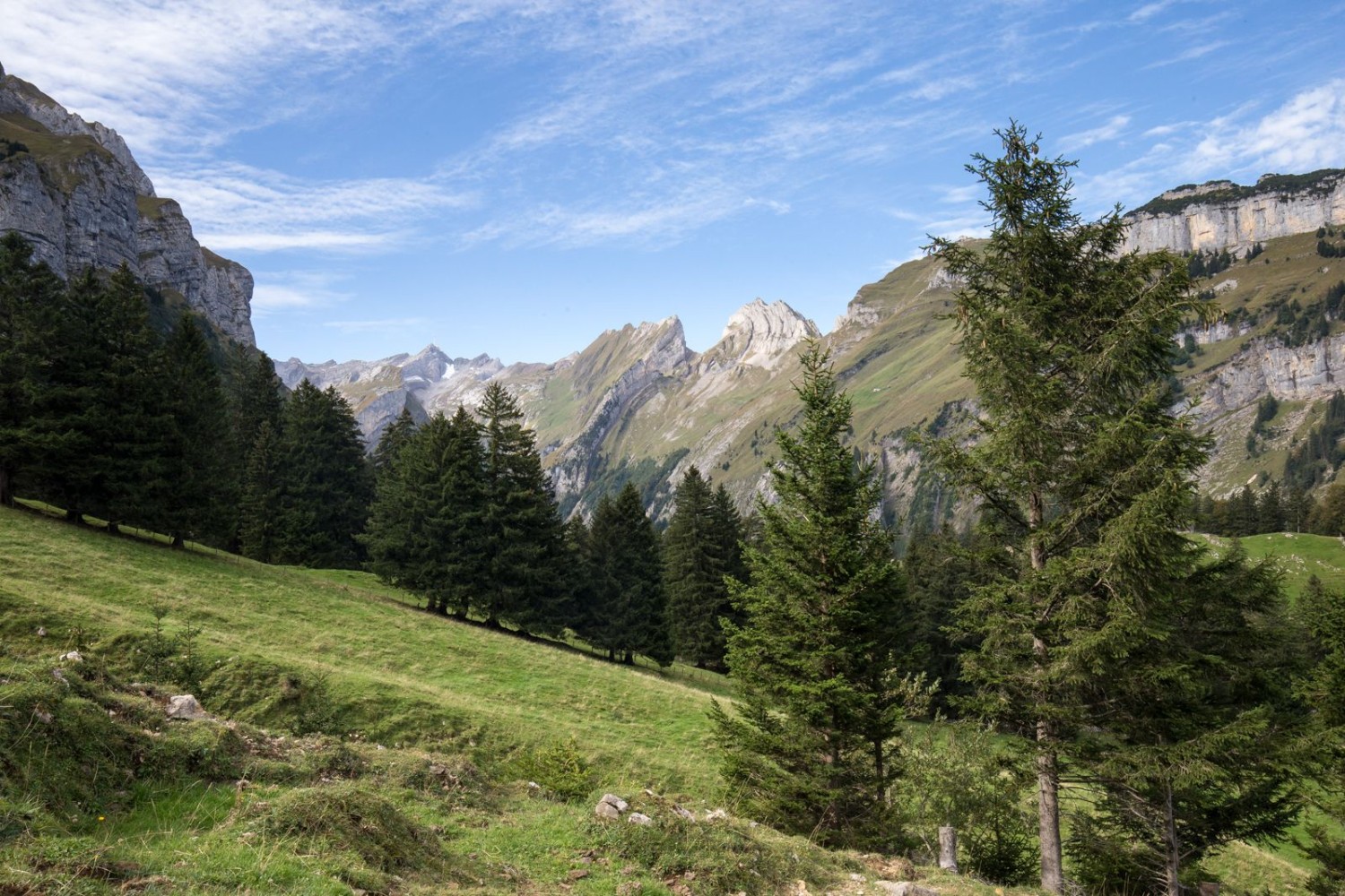 Vue sur le cœur de l’Alpstein, avec la chaîne de montagnes entre le Schäfler (à droite) et le Säntis (avec l’antenne).