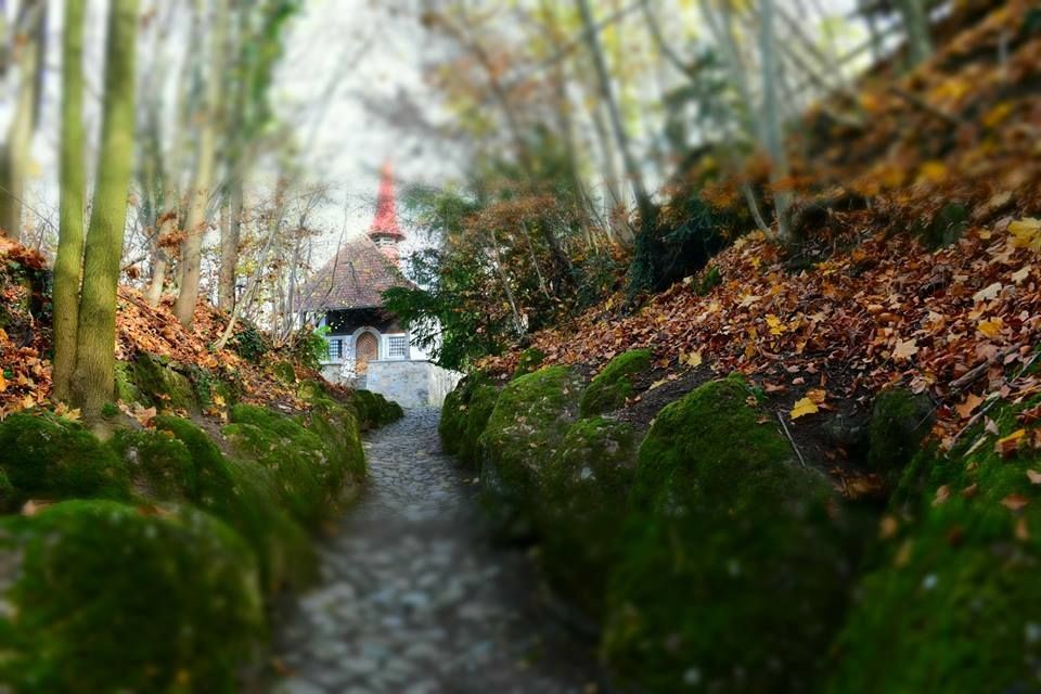 Le Chemin creux avec sa chapelle.